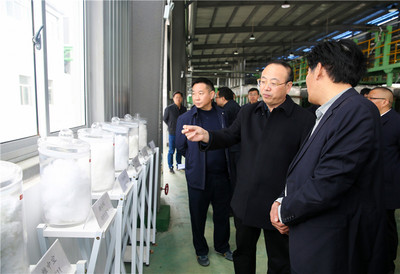 张祥安赴迎江区调研经济社会发展及市场环境