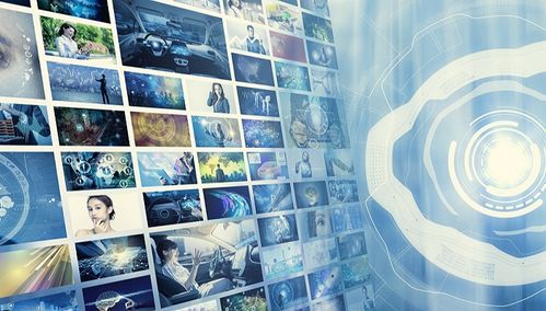 岭南股份 持续深耕互联网信息服务，以技术驱动未来增长